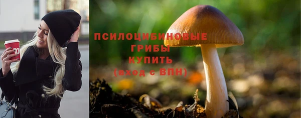 таблы Белокуриха