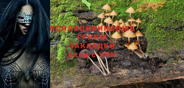 таблы Белокуриха